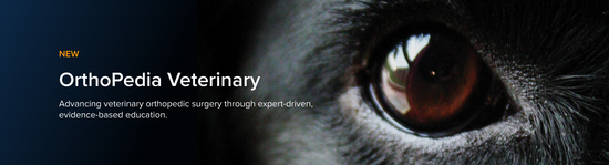 Close-up image of a dog's eye. Text overlay reads "OrthoPedia Veterinary."