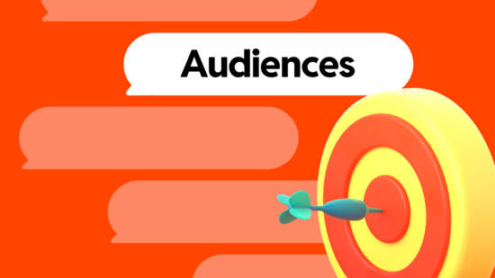 Audience Strategy Audience Strategy