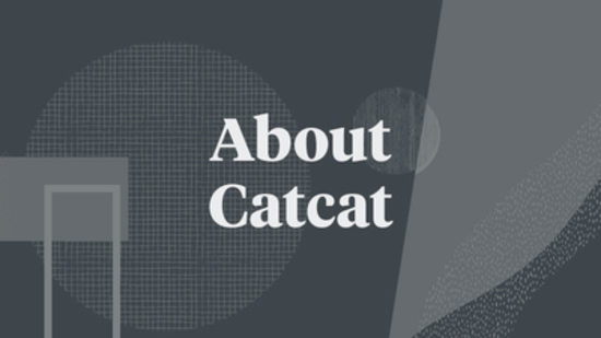About Catcat About Catcat