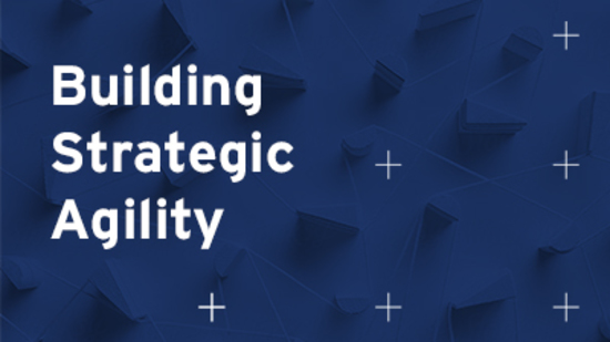 Preview: Building Strategic Agility Preview: Building Strategic Agility