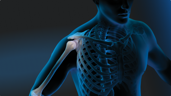 Illustration of the upper torso of a human male, somewhat transparent and with a blue aura. The bony anatomy of the shoulder is in focus.
