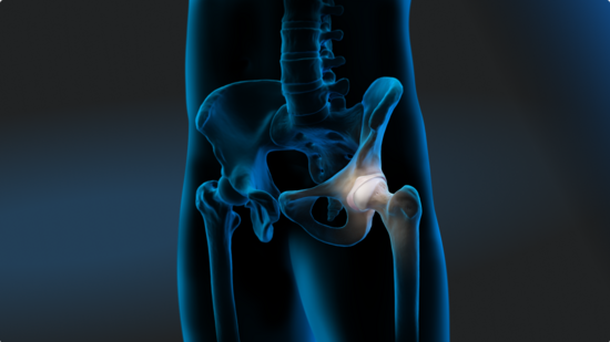 Illustration of the male waist area, somewhat transparent and with a blue aura. The bony anatomy of the hip is in focus.