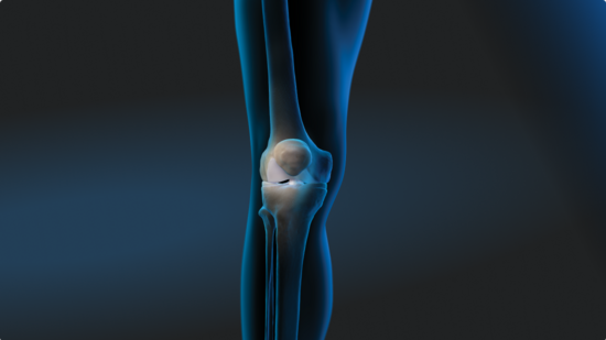 Illustration of human leg, somewhat transparent and with a blue aura. The bony anatomy of the knee is in focus.