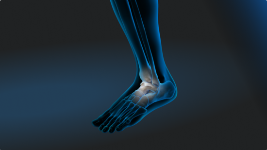 Illustration of a human foot and ankle, somewhat transparent and with a blue aura. The bony anatomy of the foot and ankle is in focus.