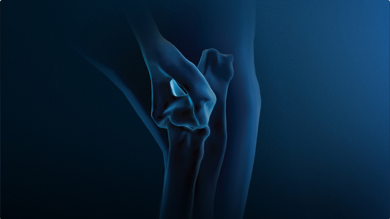 Anatomic representation of the small animal elbow, including the bones and musculature, surrounded by a blue aura.