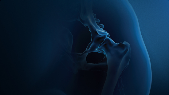 Anatomic representation of the small animal pelvis, including the bones and musculature, surrounded by a blue aura.