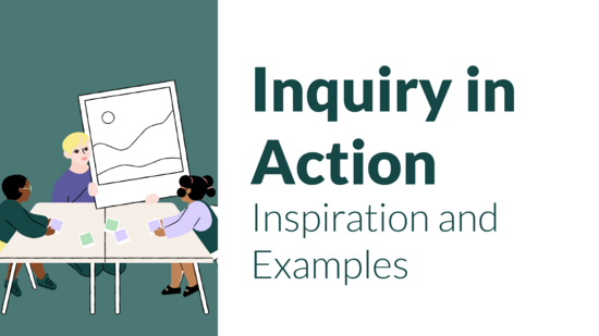 Inquiry in Action: Inspiration and Examples