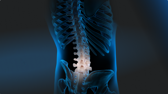 Illustration of the lower torso of a human male, somewhat transparent and with a blue aura. The bony anatomy of the spine is in focus.
