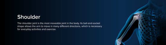 Illustration of the upper torso of a human male, somewhat transparent and with a blue aura. The bony anatomy of the shoulder is in focus.