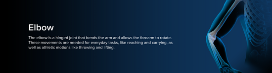 Illustration of the upper torso of a human male, somewhat transparent and with a blue aura. The bony anatomy of the elbow is in focus.