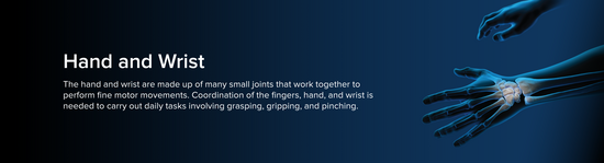 Illustration of human hands and forearms, somewhat transparent and with a blue aura. The bony anatomy of the hand and wrist is in focus.