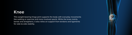 Illustration of human leg, somewhat transparent and with a blue aura. The bony anatomy of the knee is in focus.