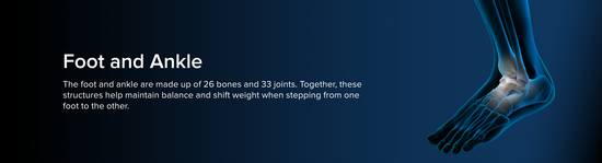 Illustration of a human foot and ankle, somewhat transparent and with a blue aura. The bony anatomy of the foot and ankle is in focus.