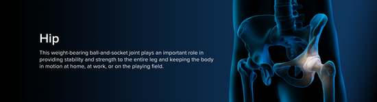 Illustration of the male waist area, somewhat transparent and with a blue aura. The bony anatomy of the hip is in focus.