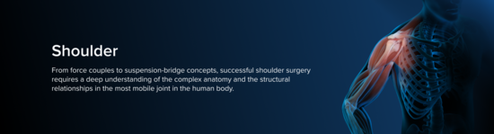 Anatomic representation of the shoulder, including the bones and musculature, surrounded by a blue aura.
