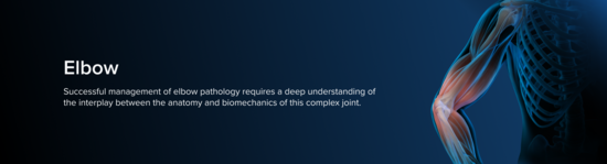 Anatomic representation of the elbow, including the bones and musculature, surrounded by a blue aura.