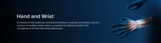 Anatomic representation of the hand and wrist, including the bones and musculature, surrounded by a blue aura.