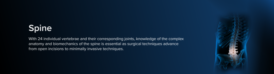 Anatomic representation of the spine, including the bones and musculature, surrounded by a blue aura.