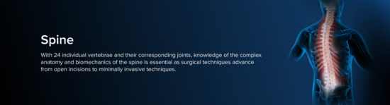 Anatomic representation of the spine, including the bones and musculature, surrounded by a blue aura.