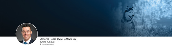 Professional headshot of Dr. Antonio Pozzi (Small Animal; Zurich, Switzerland) and a photograph of a dog running through a field representing the small animal specialty.