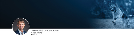 Professional headshot of Dr. Sean Murphy (Small Animal; Boise, ID) and a photograph of a dog running through a field representing the small animal specialty.