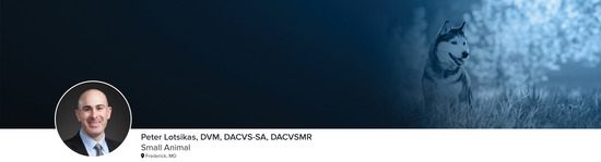 Professional headshot of Dr. Peter Lotsikas, DVM, DACVS-SA, DACVSMR (Small Animal; Frederick, MD) and a photograph of a dog sitting in a field representing the small animal specialty.