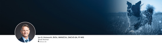 Professional headshot of Dr. Ian G. Holsworth (Small Animal; Ventura, CA) and a photograph of a dog running through a field representing the small animal specialty.