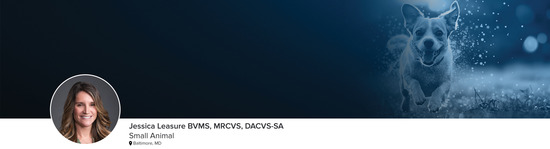 Professional headshot of Dr. Jessica Leasure (Small Animal; Baltimore, MD) and a photograph of a dog running through a field representing the small animal specialty.