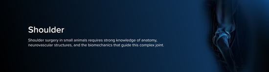 Anatomic representation of a small animal shoulder surrounded by a blue aura next to the title "Shoulder" and a short description of shoulder surgery in small animals.