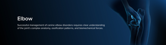 Medical representation of a small animal elbow surrounded by a blue aura next to the title "Elbow" and a description of small animal elbow treatment.