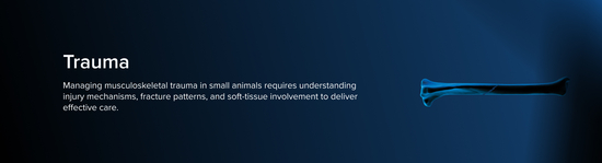 Medical representation of a fracture of a small animal surrounded by a blue aura next to the title "Trauma" and a short description about trauma treatment for small animals.