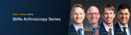 Banner with the text “Small Animal Stifle” and course title “Stifle Arthroscopy Series” featuring portraits of veterinary medicine professionals Ian G. Holsworth, Chuck Walls, Seanb Murphy, and Kevin McAbee.
