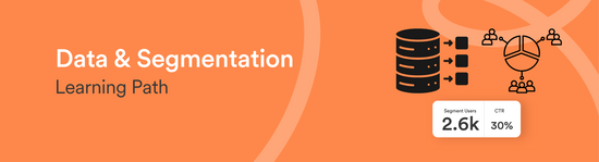Data and Segmentation Path