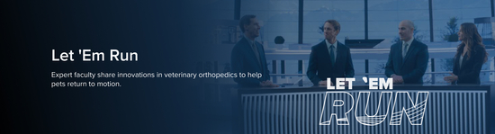 Blue-toned promotional banner showing four people standing behind a table in front of large windows. White text reads, “Let ’Em Run. Expert faculty share innovations in veterinary orthopedics to help pets return to motion.” Large outlined text on the right repeats, “LET ’EM RUN.”