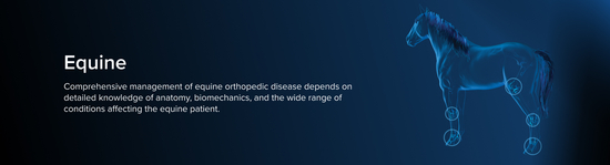 OrthoPedia Vet equine section banner with glowing horse illustration showing highlighted joint regions on dark blue background.